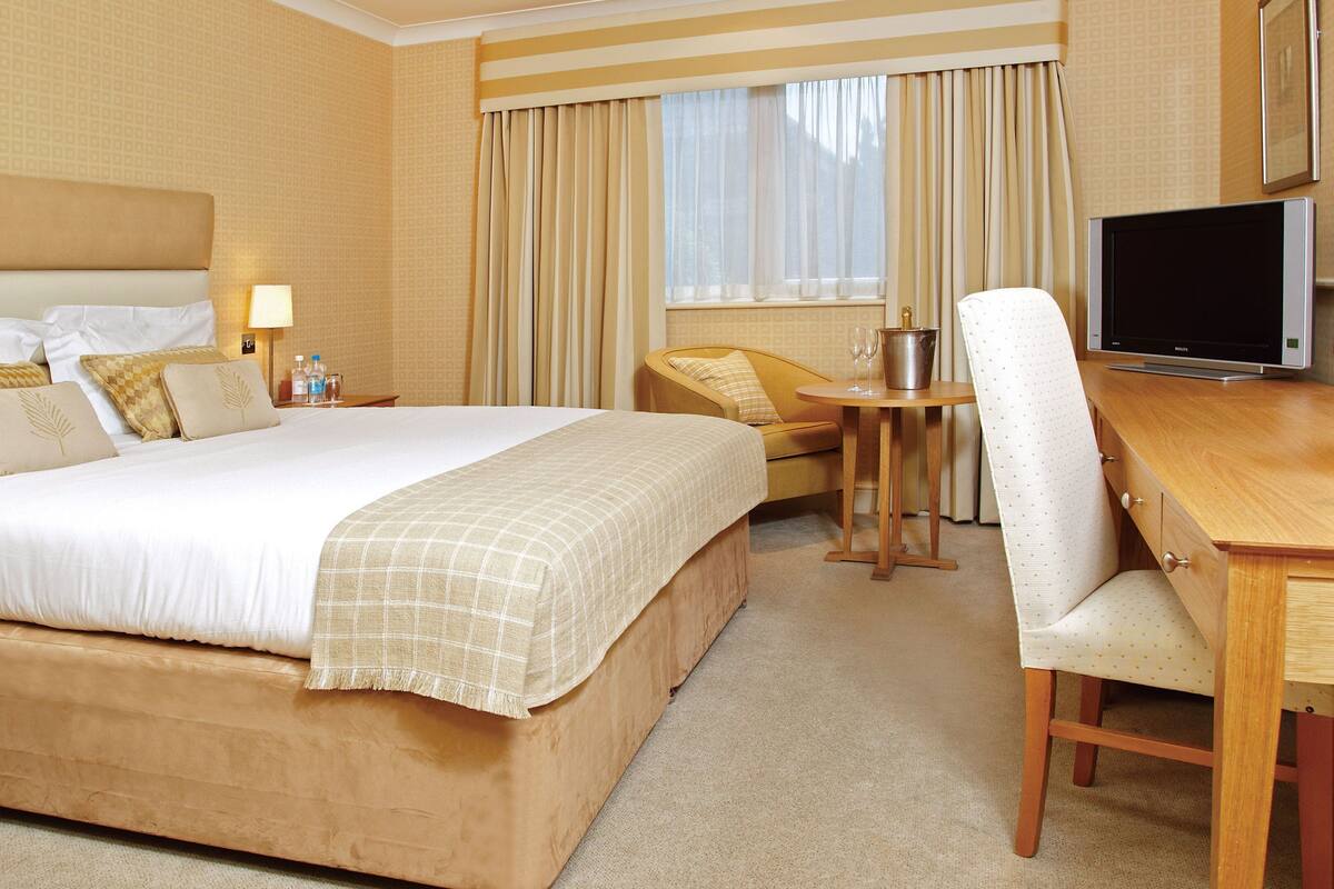 Una habitación de hotel con cama, escritorio, televisión y silla.