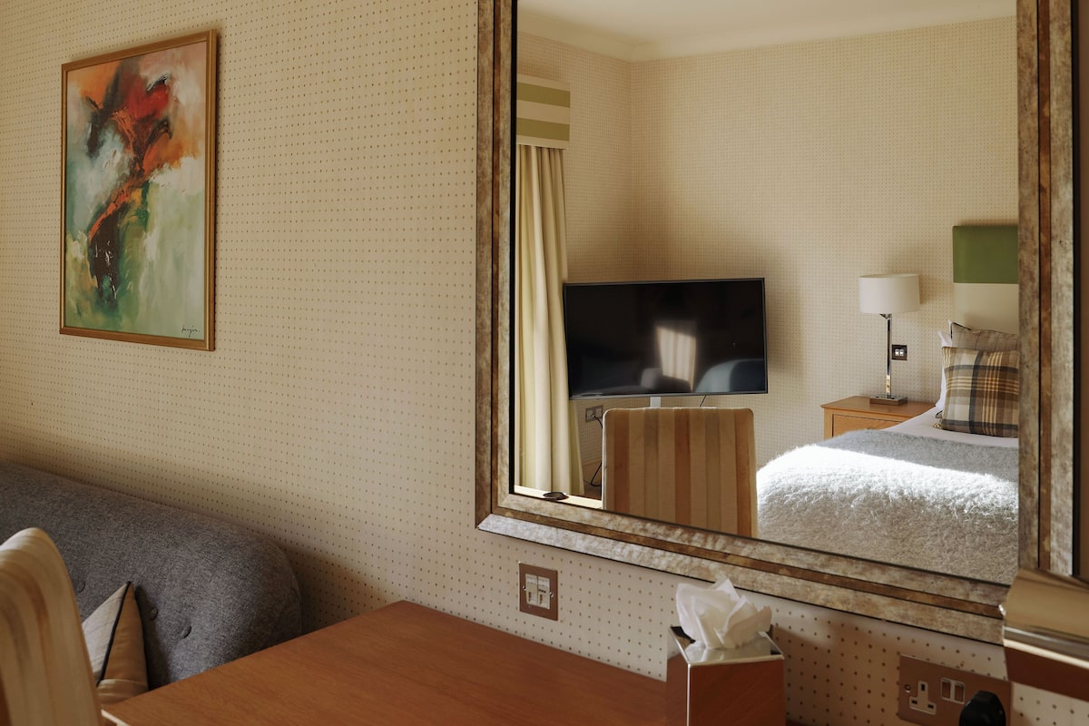 Una habitación de hotel con cama, televisión, escritorio y un cuadro en la pared.