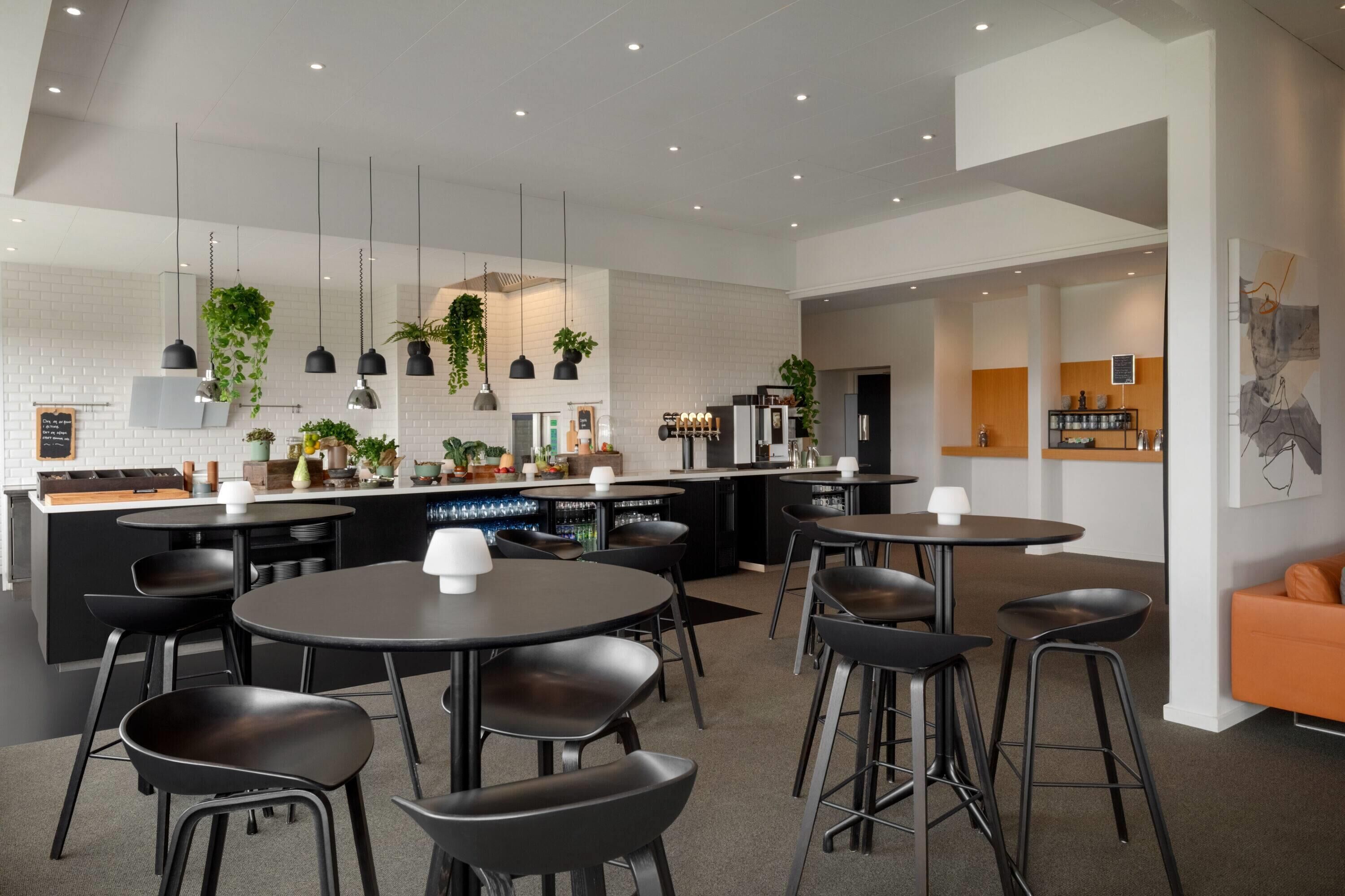 Una cocina moderna con taburetes negros, una barra y plantas colgantes.