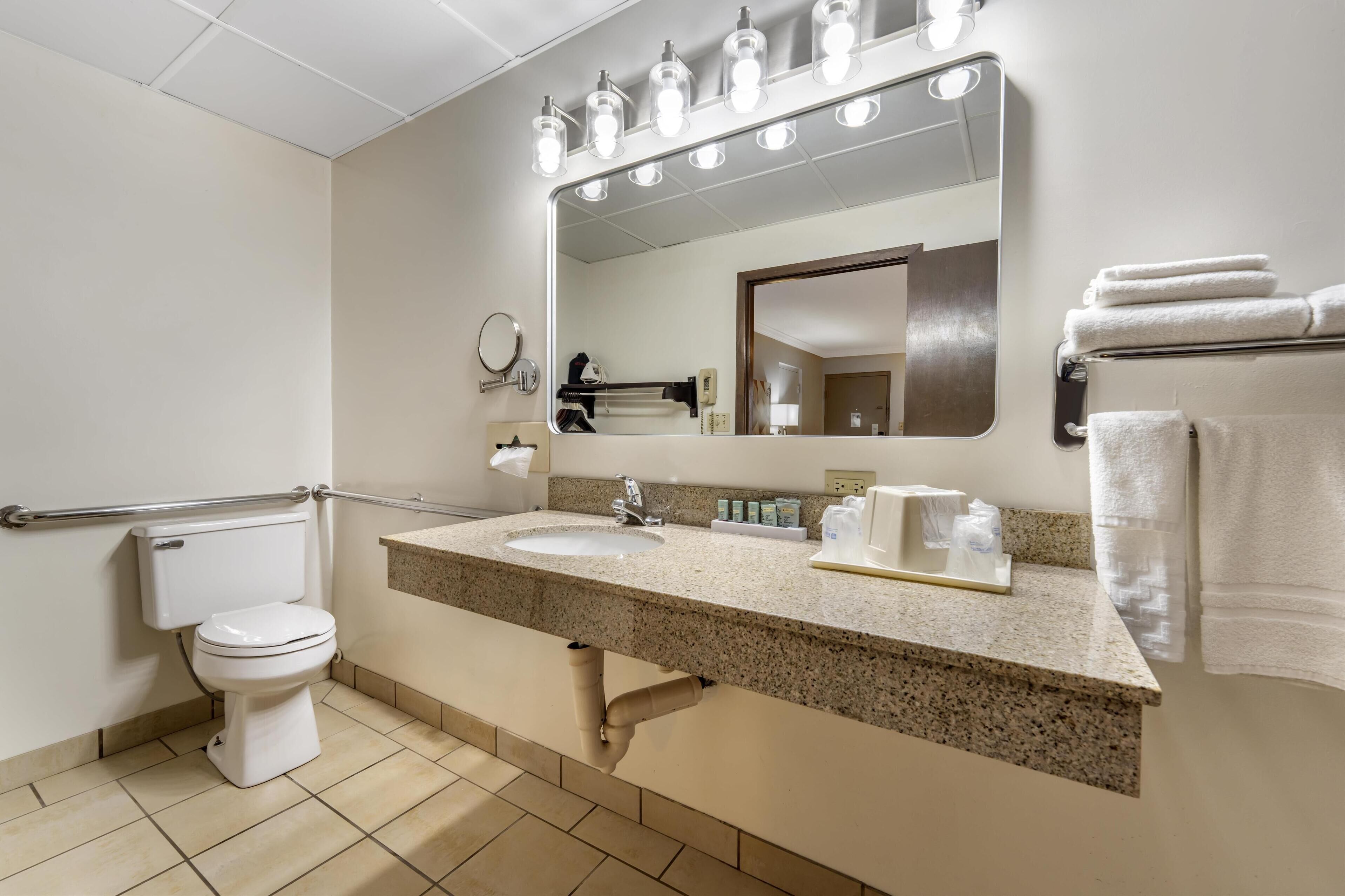 standard room, 1 king bed, accessible, bathtub (with sofabed) | accessible bathroom