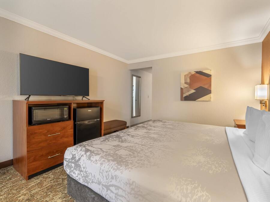 Una habitación de hotel con una cama grande, un televisor de pantalla plana, un microondas y un refrigerador.