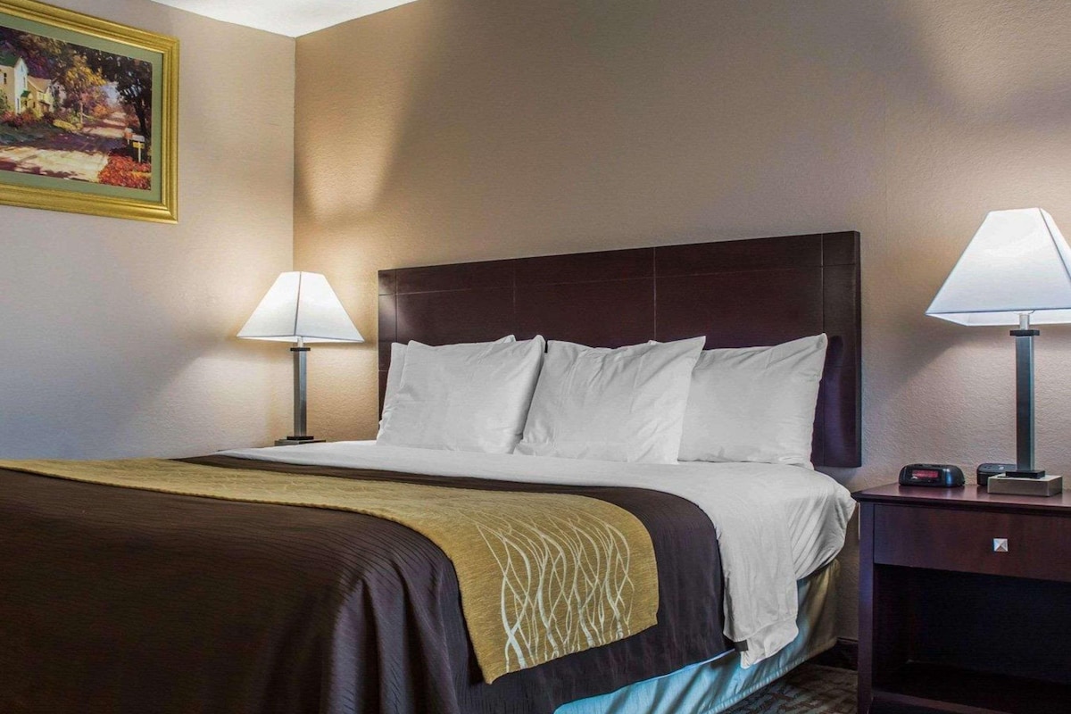 A hotel room with a large bed, two bedside lamps, a nightstand, and a painting on the wall.