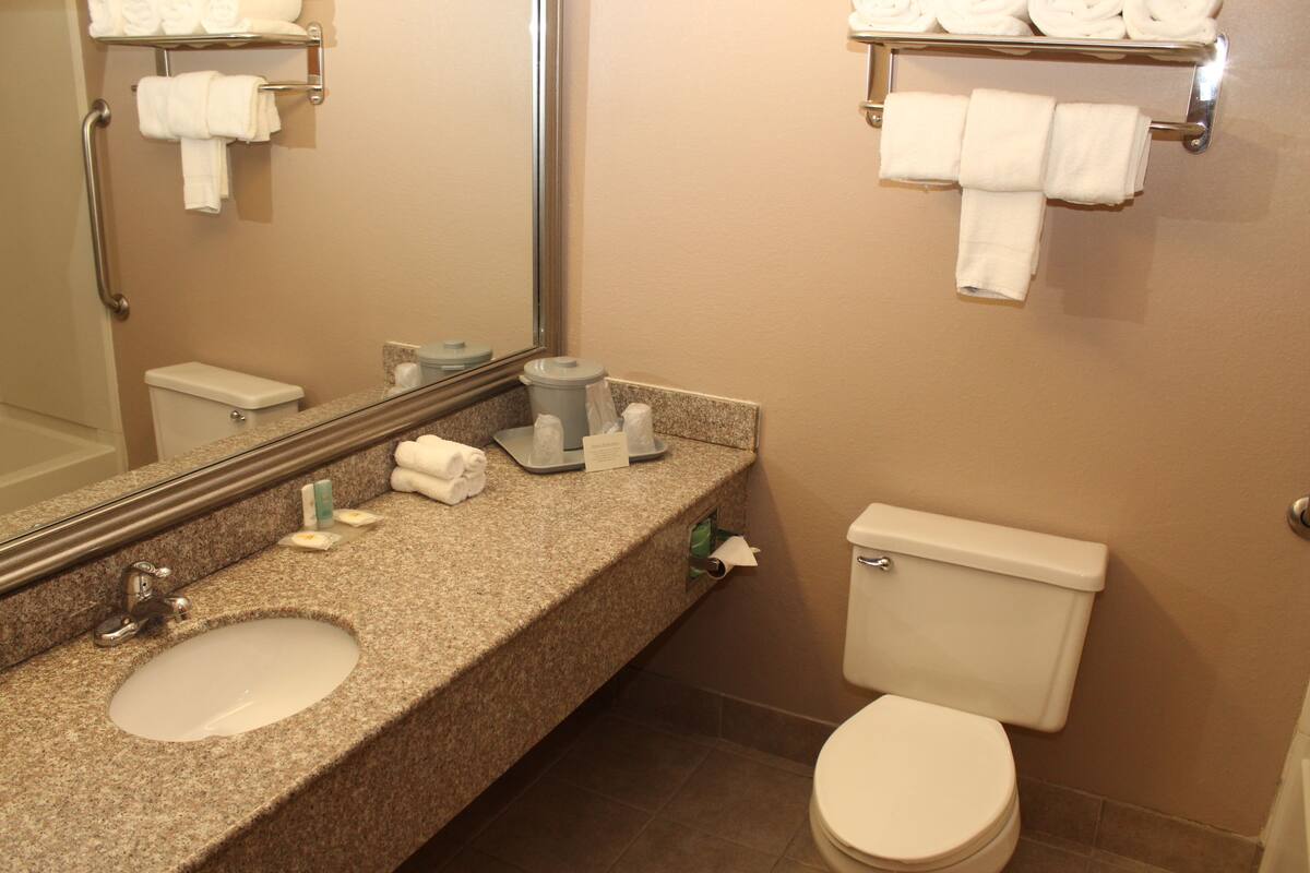 Combined shower/tub, free toiletries, hair dryer, towels