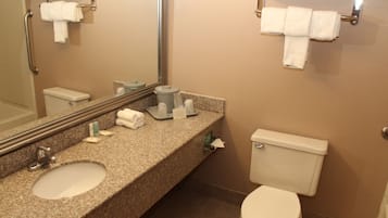 Combined shower/tub, free toiletries, hair dryer, towels