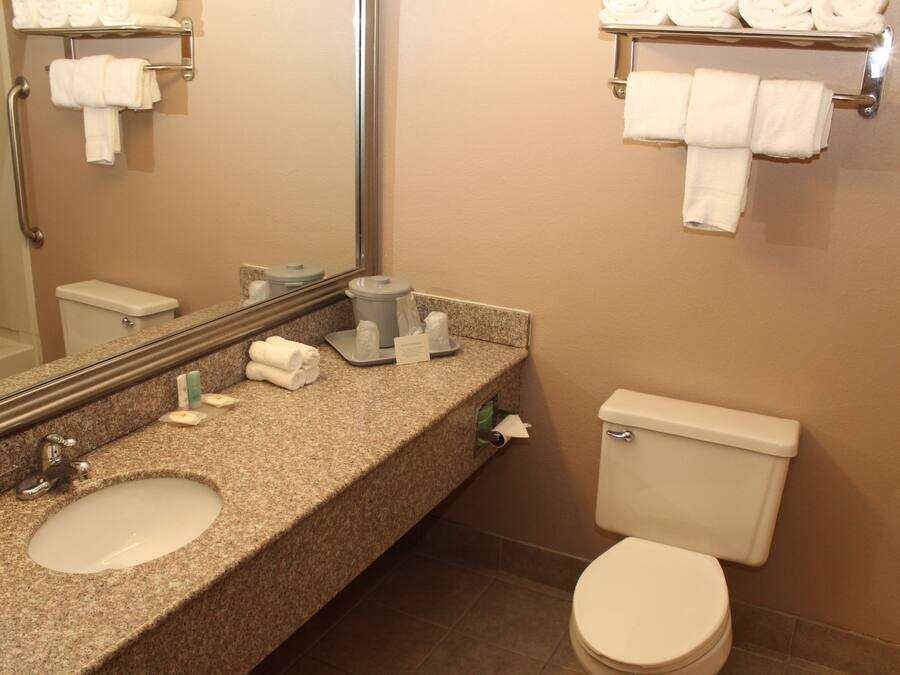 Un baño con encimera de granito, lavamanos, inodoro y toalleros.