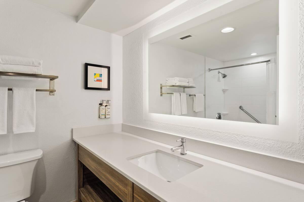 Un baño con un lavabo blanco, un espejo grande, un perchero para toallas y un cuadro enmarcado en la pared.