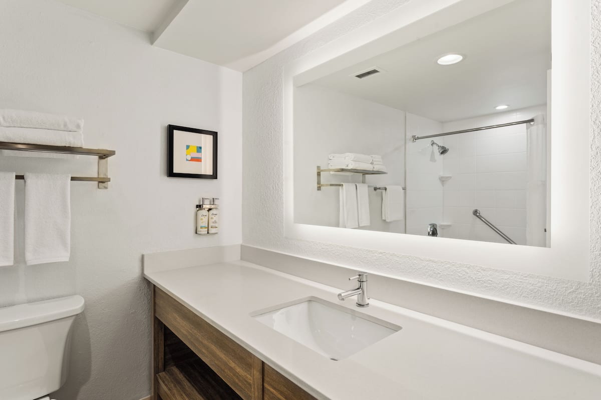 A bathroom with a white sink, a large mirror, a towel rack, and a framed picture on the wall.