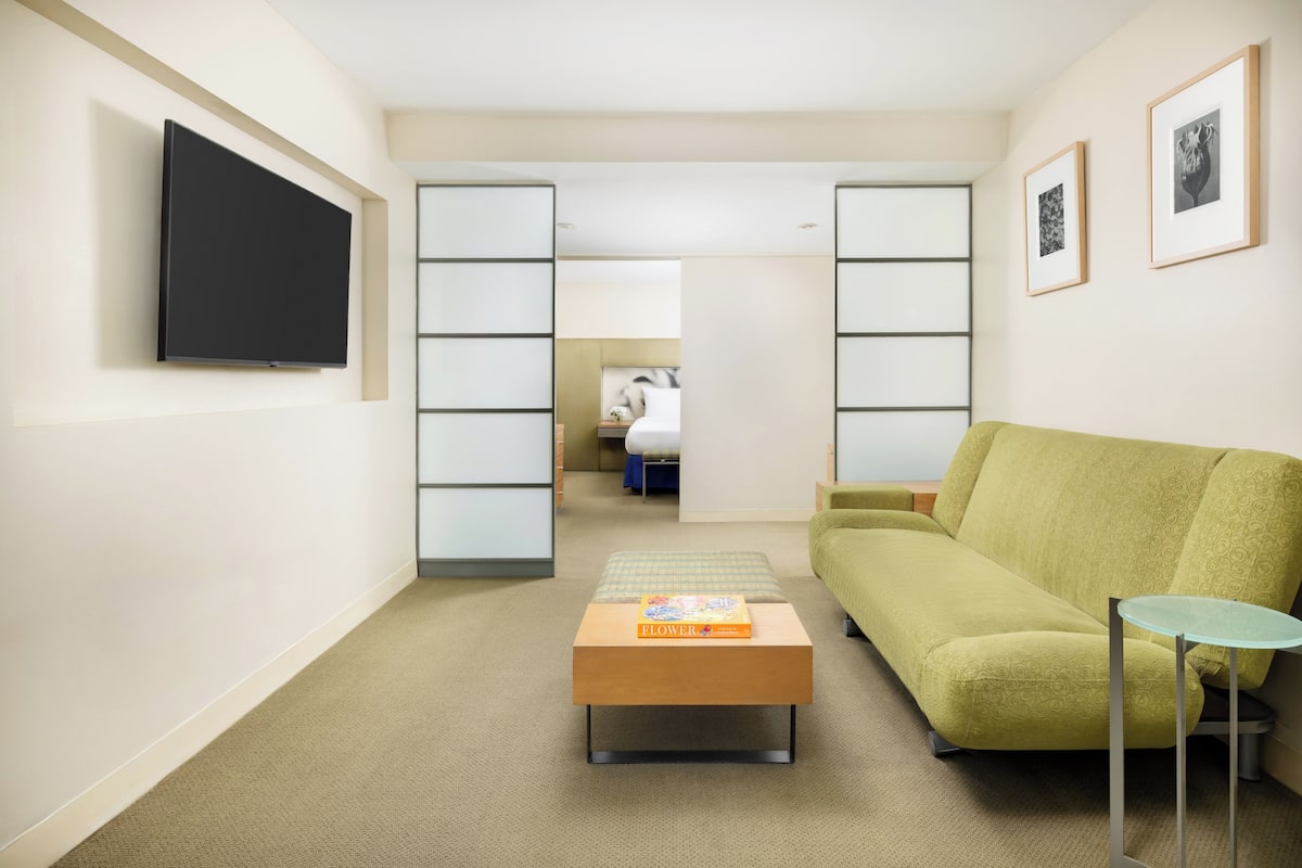 Junior Penthouse (Suite) | Living area | 42-inch TV with cable channels