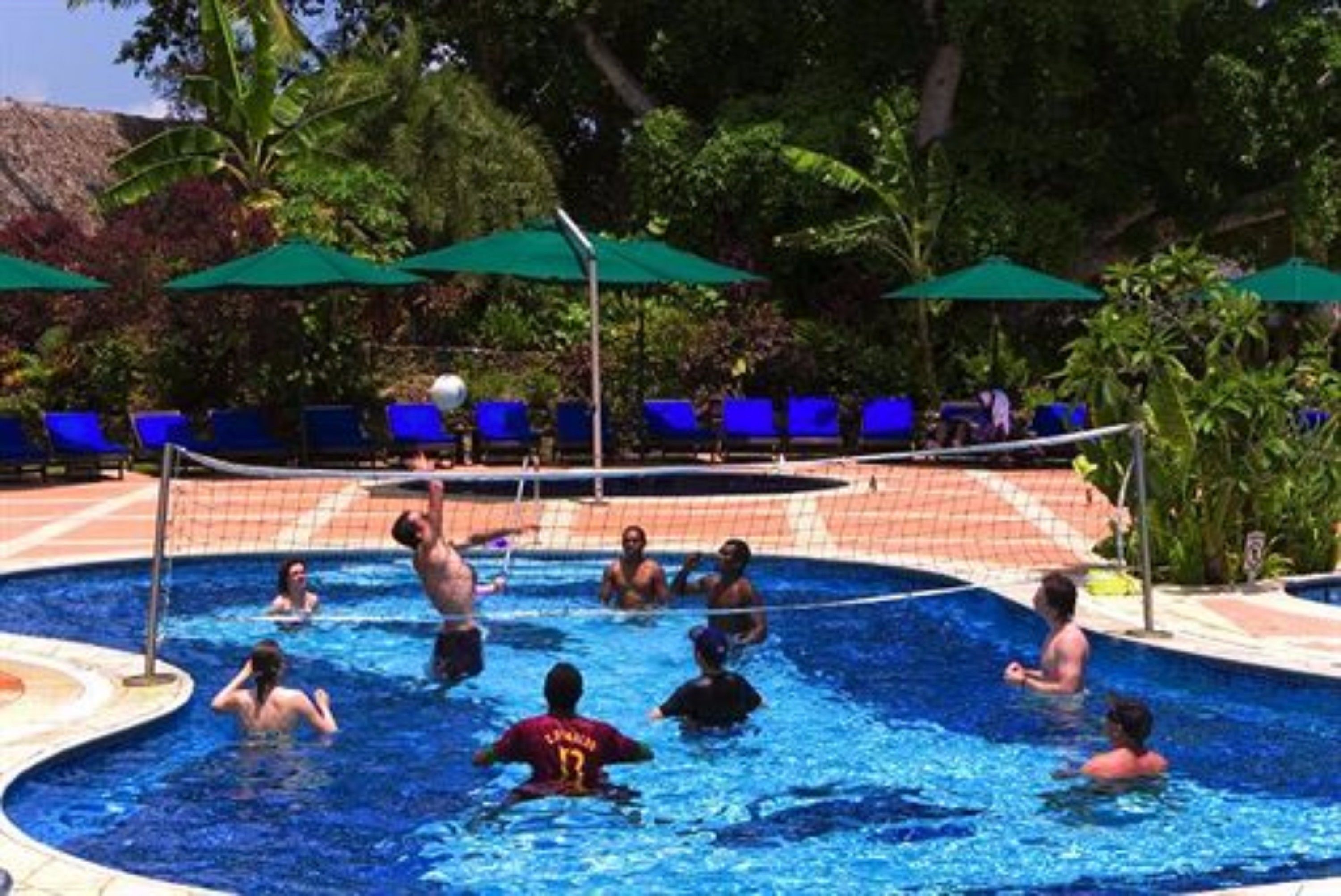En swimmingpool med volleyballnet, omgivet af blå liggestole og grønne parasoller.