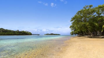 A beach with clear turquoise water, a sandy shore, and lush green trees.