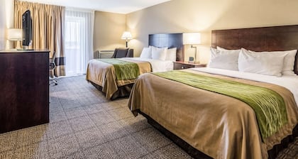Comfort Inn Lansing West