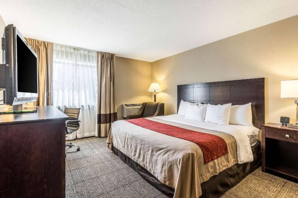 A hotel room with a bed, a desk, a chair, a TV, a lamp, and a window with curtains.