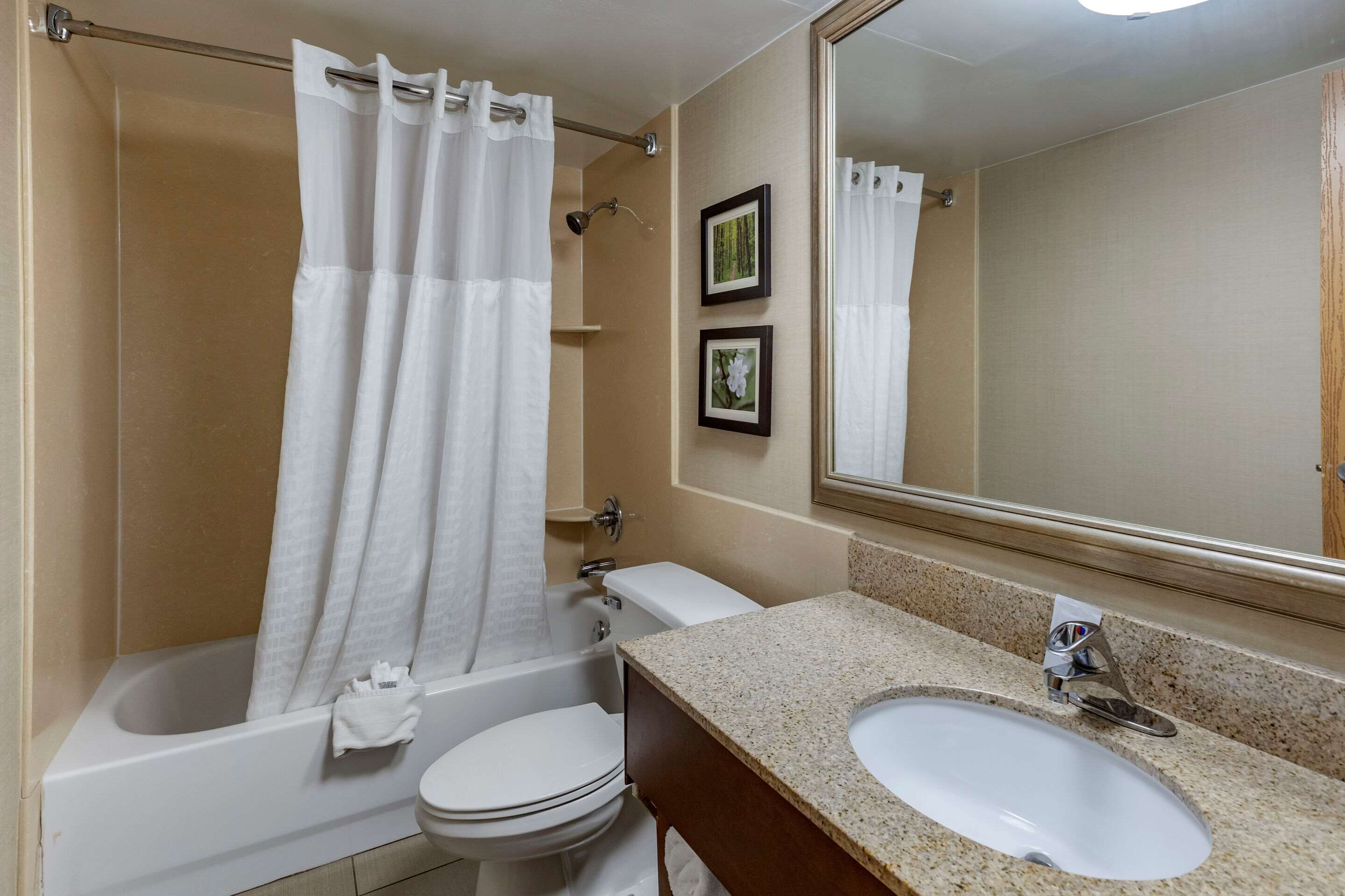 room, 1 king bed with sofa bed, non smoking | bathroom | combined shower/bathtub, free toiletries, hair dryer, towels