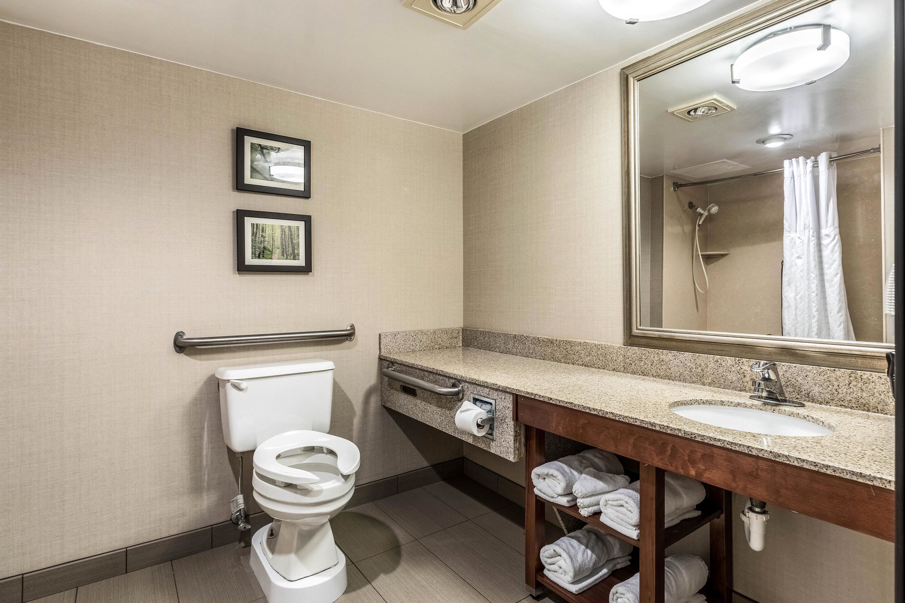 combined shower/bathtub, free toiletries, hair dryer, towels