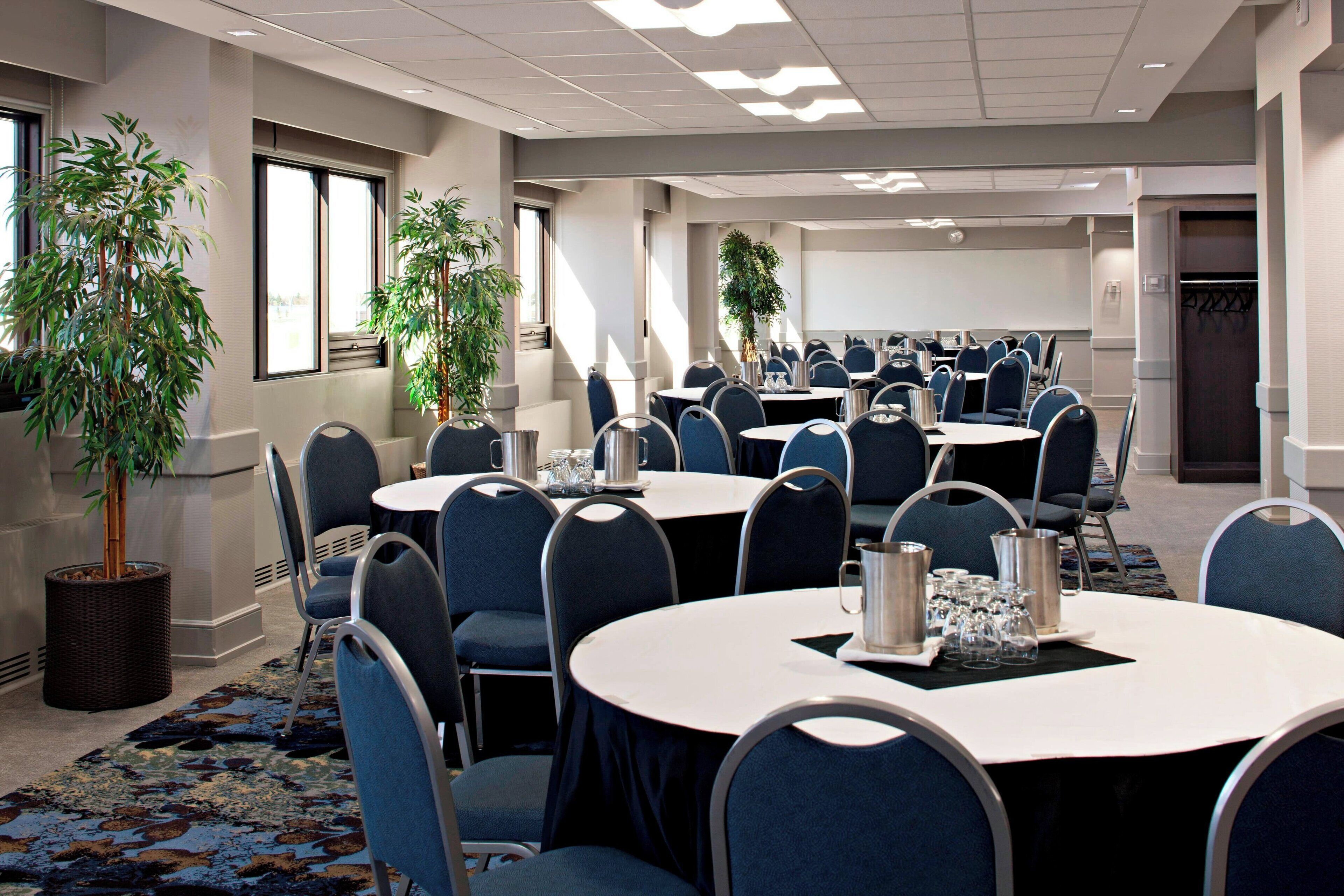 A conference room with round tables, blue chairs, and potted plants.
