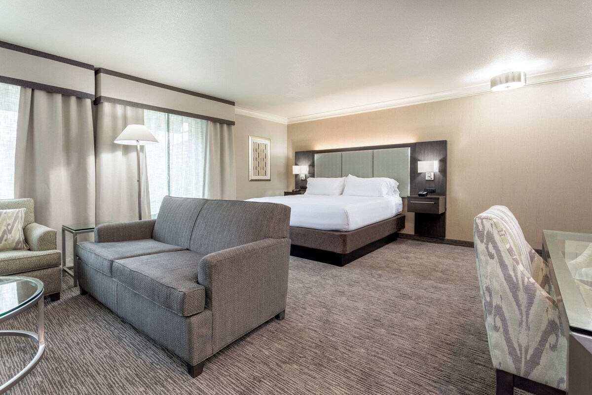 Suite, 1 King Bed (Top Floor) | Desk, laptop workspace, blackout drapes, iron/ironing board