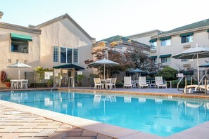 A swimming pool with lounge chairs and umbrellas, surrounded by buildings with balconies and windows.