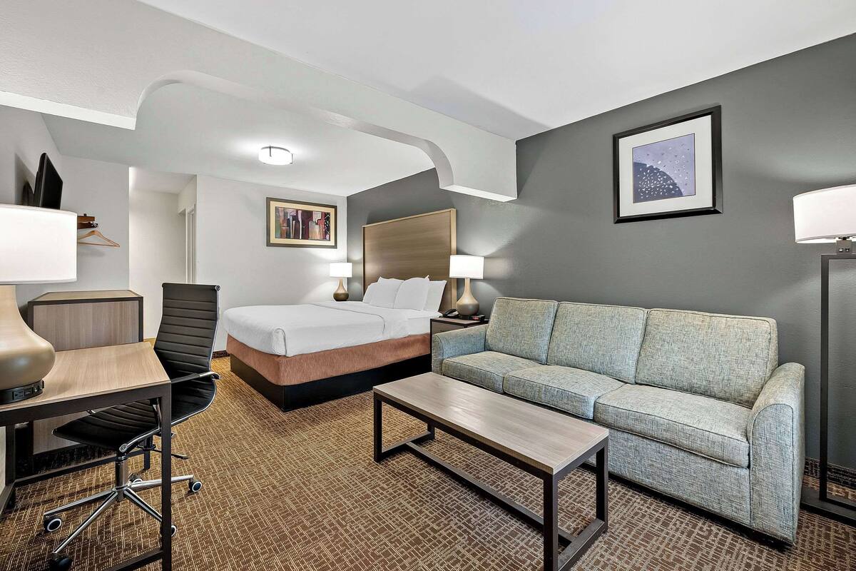 A hotel room with a bed, a sofa, a desk, and a chair.