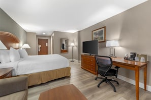 Standard Room, 1 King Bed, Non Smoking, Kitchenette (with Sofabed) | Iron/ironing board, free cots/infant beds, rollaway beds, free WiFi