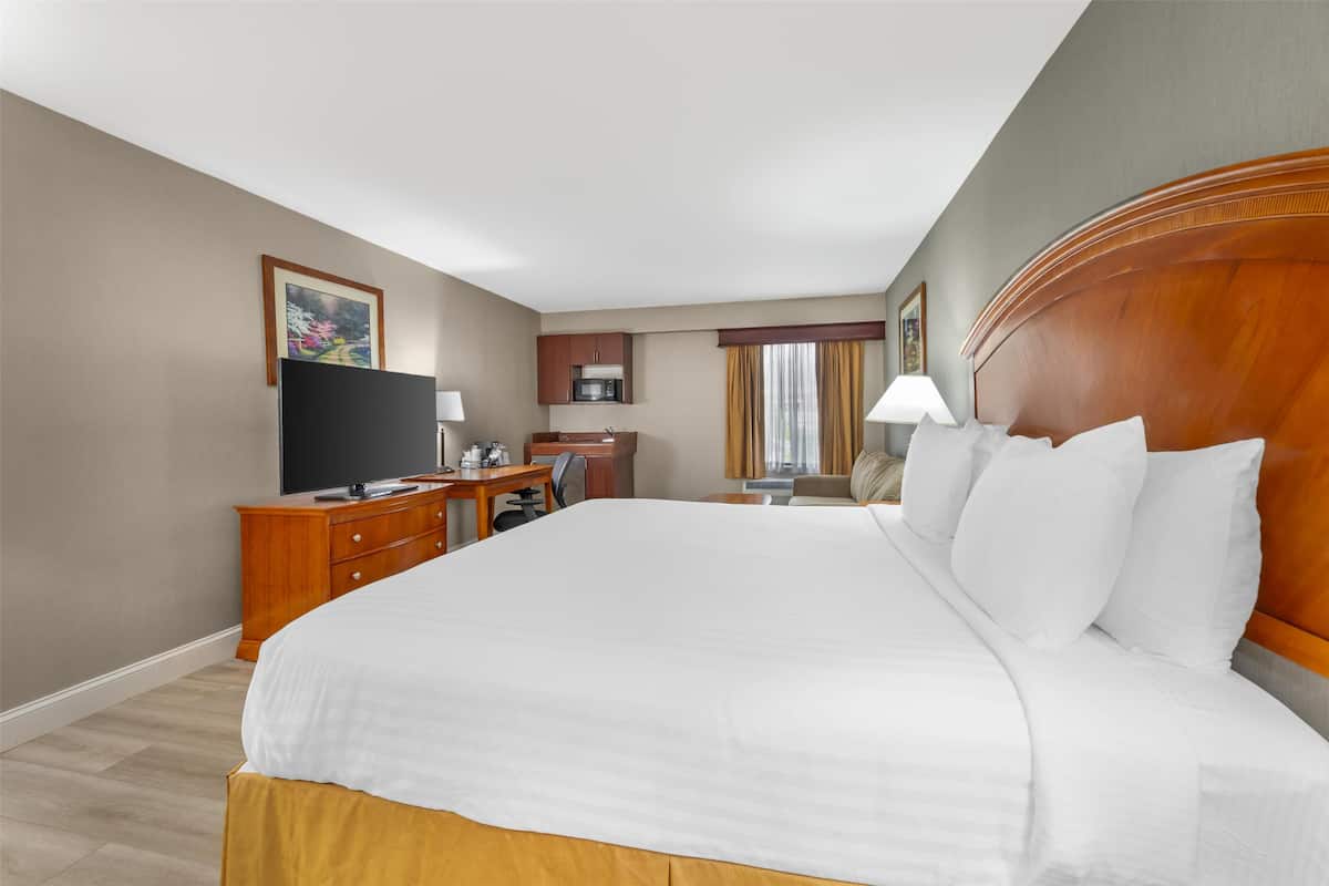 Standard Room, 1 King Bed, Non Smoking, Kitchenette (with Sofabed) | Iron/ironing board, free cribs/infant beds, rollaway beds, free WiFi