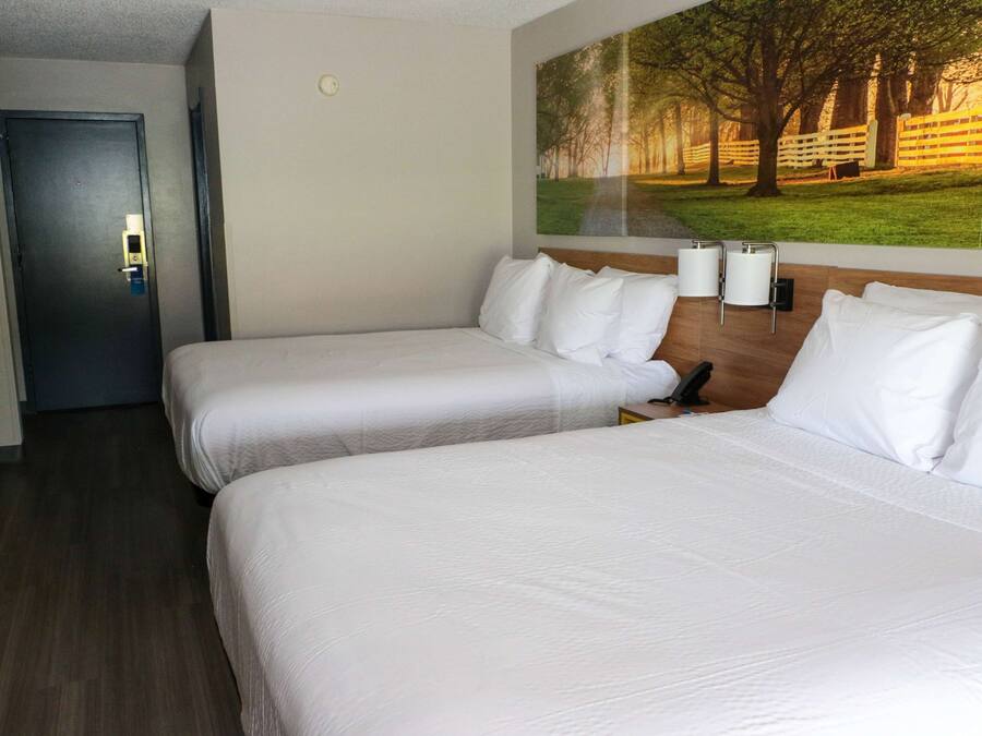 Habitación de hotel con dos camas, una puerta, una lámpara fijada a la pared y un ventanal con vistas a árboles.