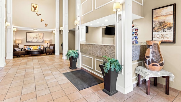 Un hall amplio con mostrador de recepción, zona de estar y plantas decorativas.