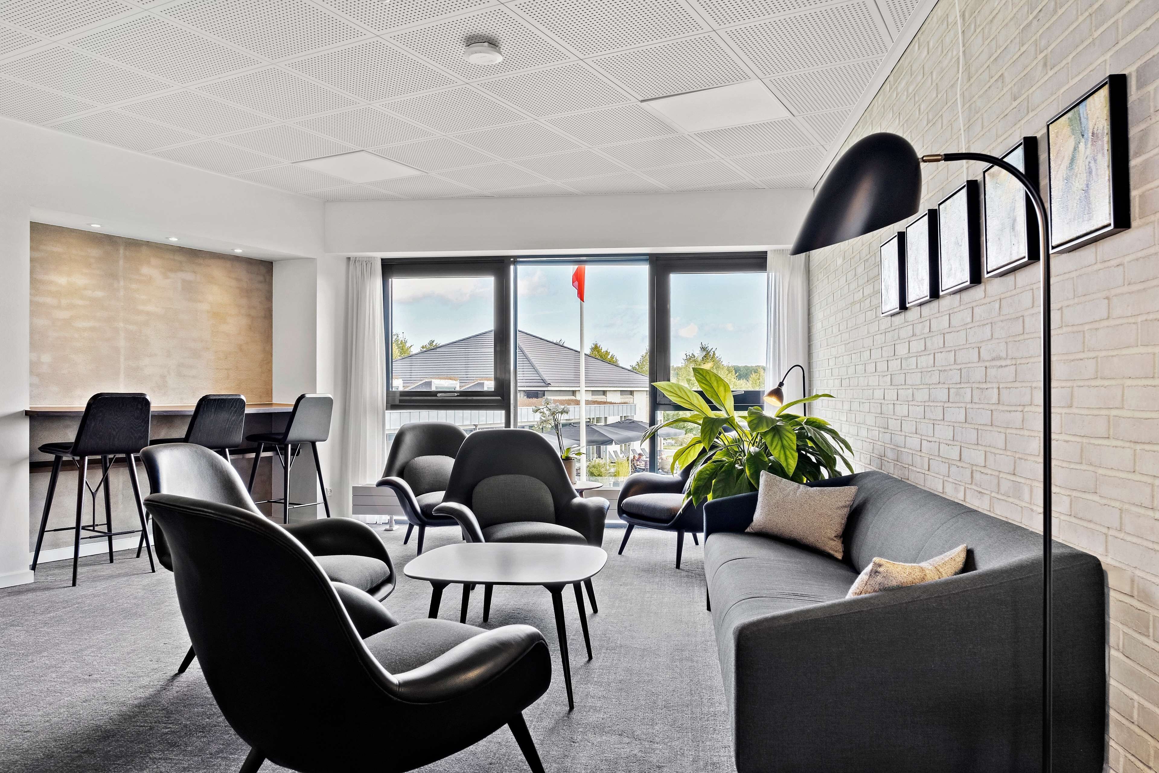 A modern office space with a grey sofa, black chairs, a small table, and a plant.