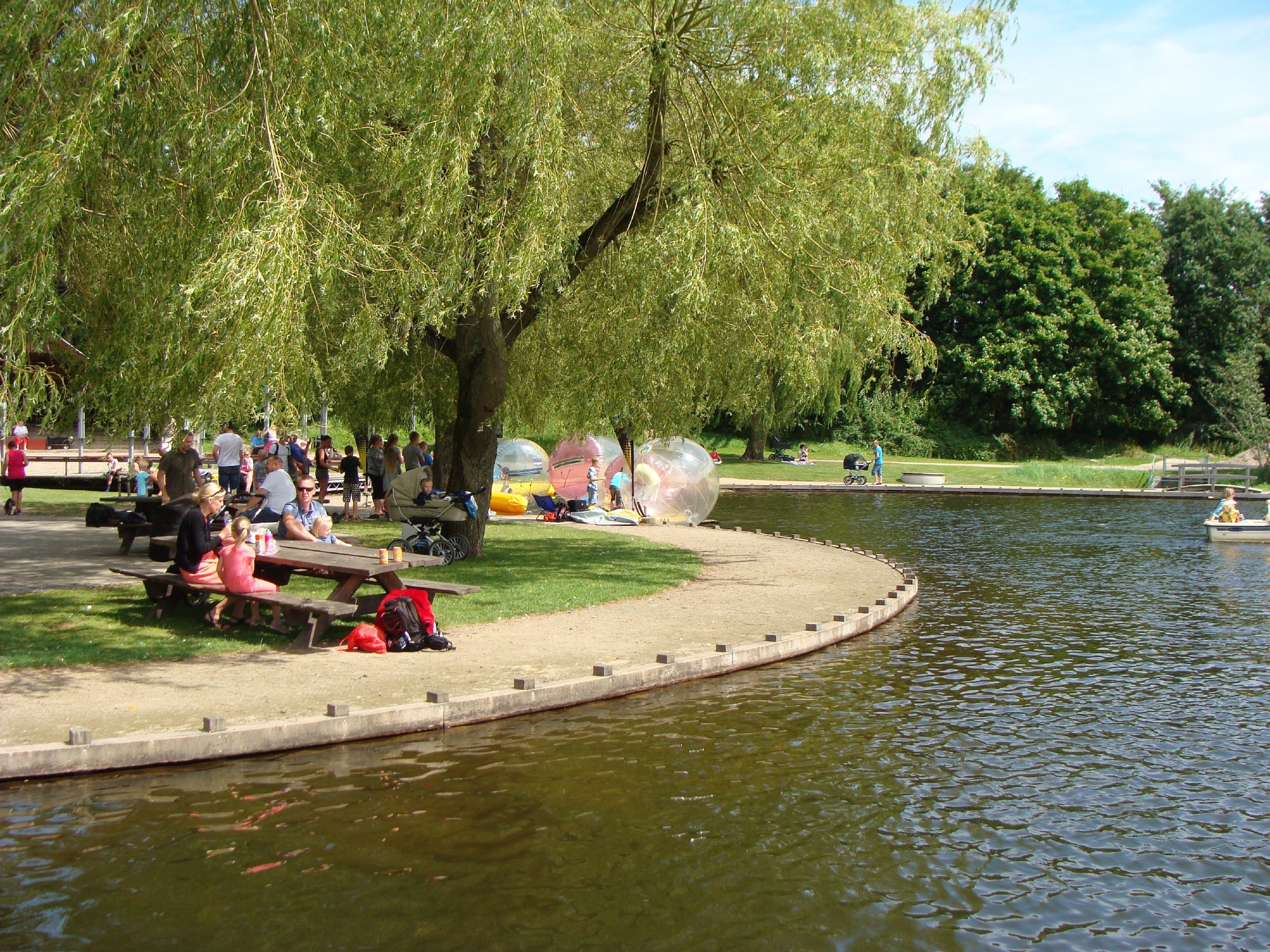 children’s activities