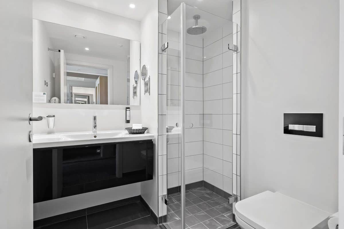 shower, free toiletries, hair dryer, towels