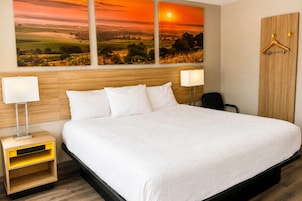 Habitación de hotel con una cama grande, dos lámparas de noche, un cabecero de madera, un armario y un cuadro de un paisaje con atardecer.