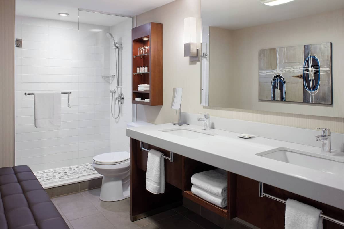 shower, hydromassage showerhead, free toiletries, hair dryer