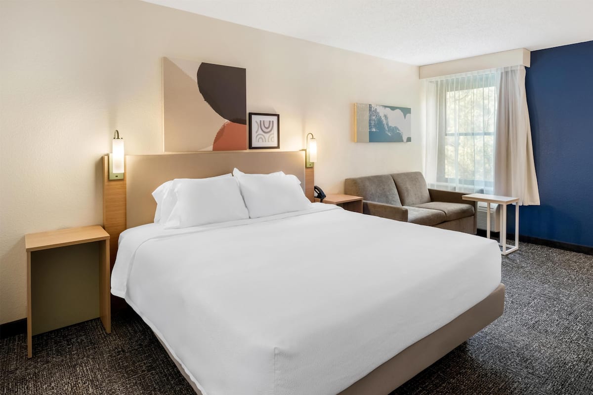 Room, 1 King Bed with Sofa bed