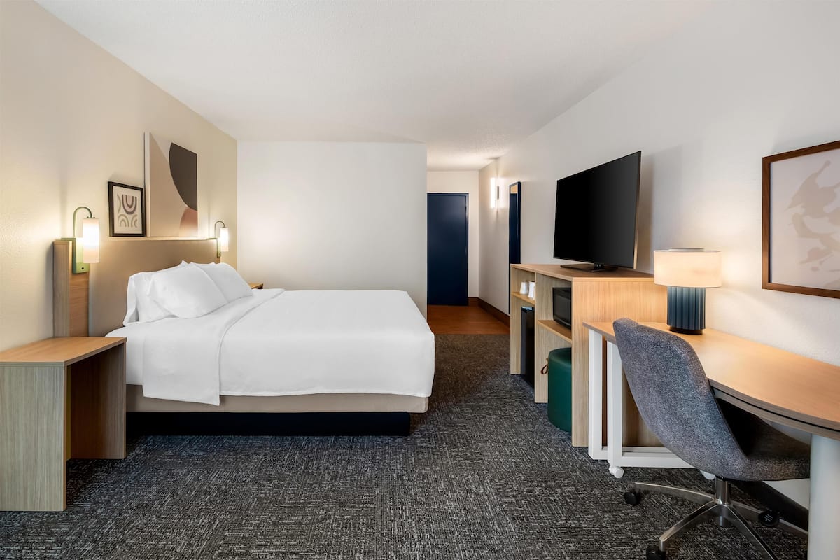 Room, 1 King Bed