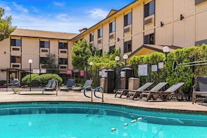 Piscina externa, funciona das 9h às 20h, barracas de cortesia