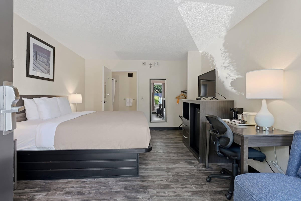Quarto de hotel com cama, escrivaninha, cadeira e televisão.