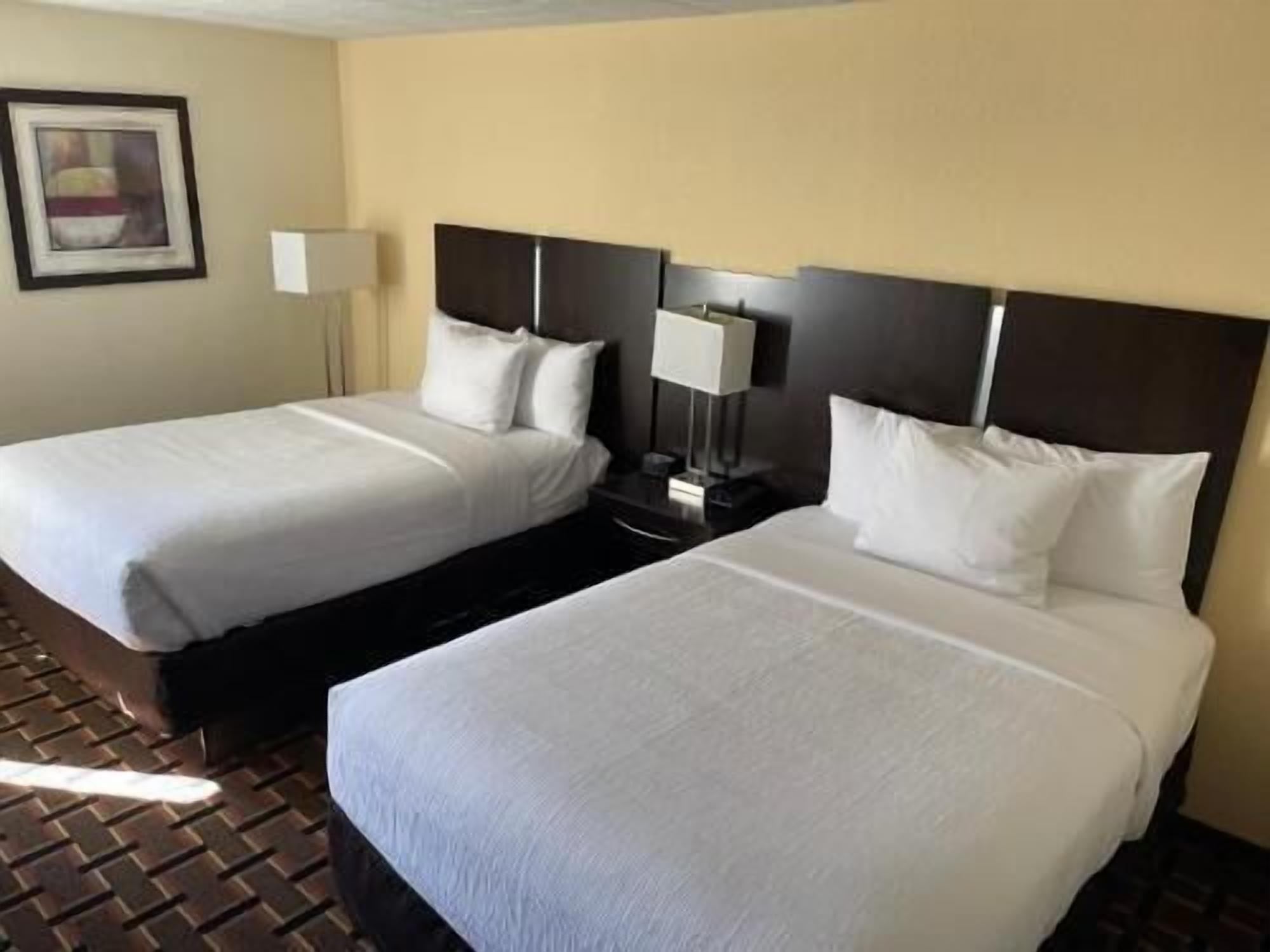 Premium bedding, in-room safe, laptop workspace, blackout curtains