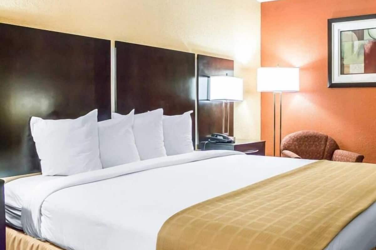 Premium bedding, in-room safe, laptop workspace, blackout curtains