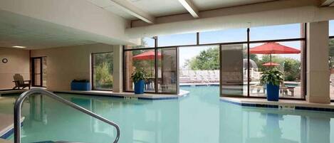 Una piscina interior con paredes de vidrio transparente, plantas en macetas y vistas al exterior.