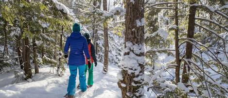 A snowy forest path with people walking.
