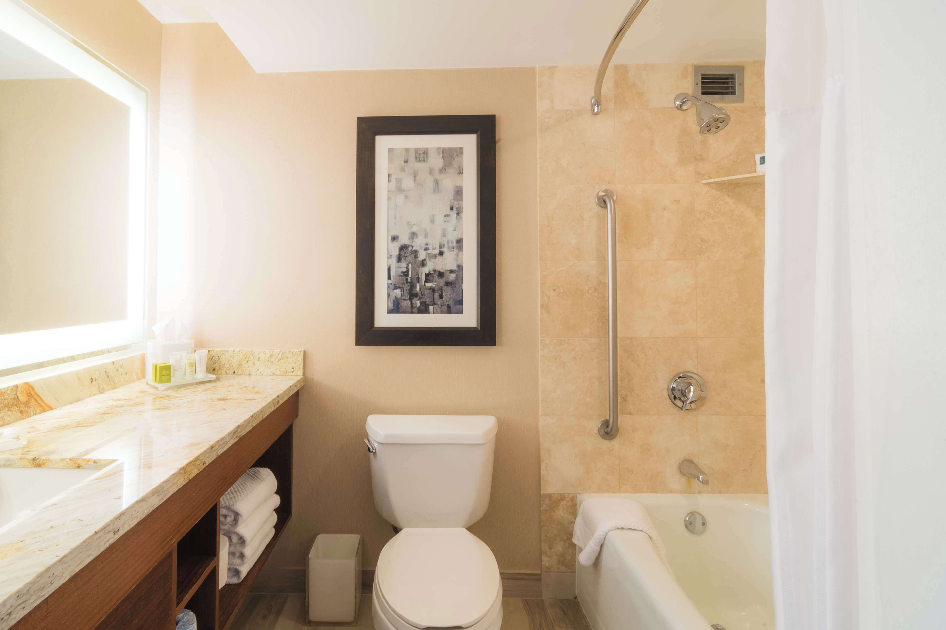 Une salle de bain avec des toilettes, un lavabo et une douche.
