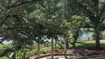 Un jardín ajardinado con un sendero central, rodeado de diversas plantas y una masa de agua al fondo.