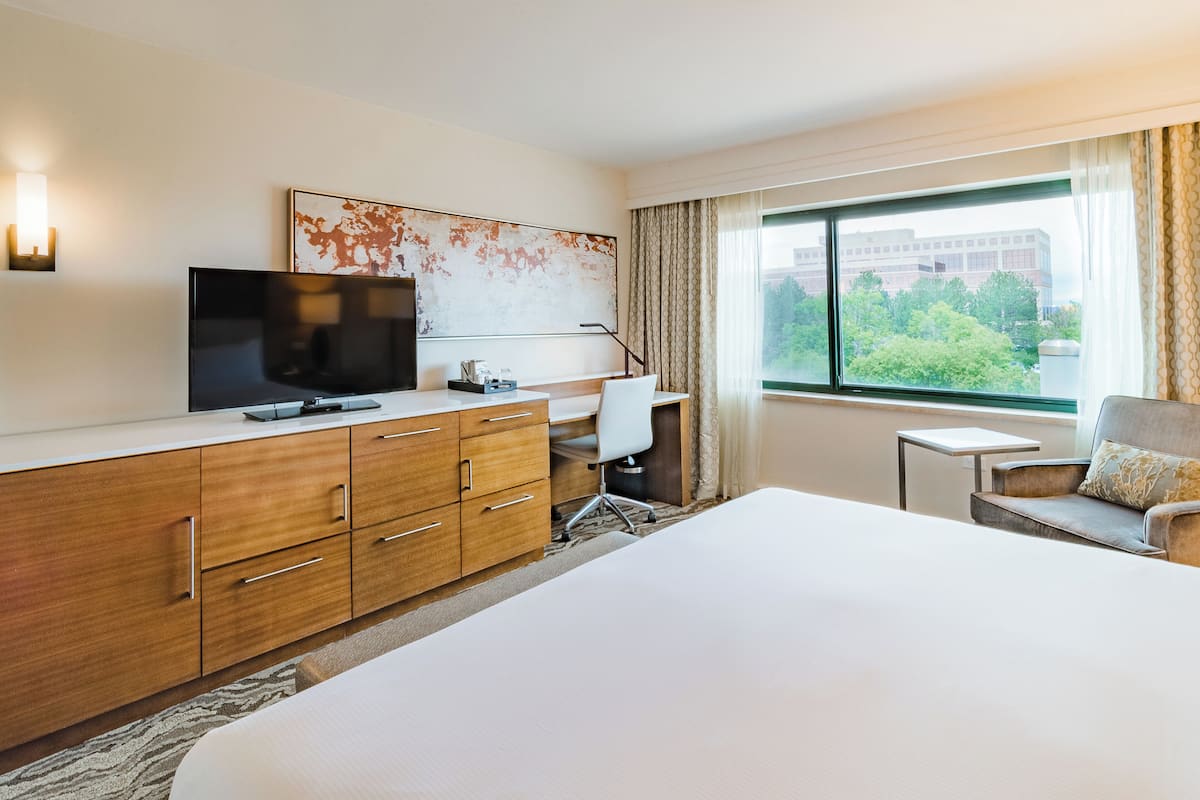 Room, 1 King Bed (Skyline View) | City view