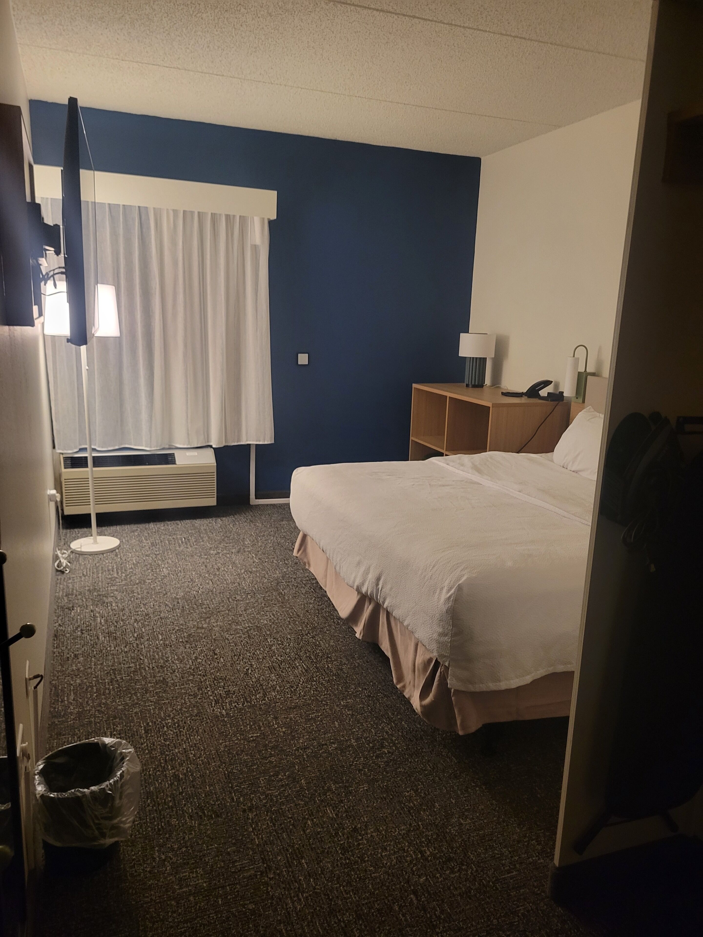 room, 1 king bed, accessible, bathtub | hypo-allergenic bedding, down duvets, iron/ironing board, free wifi