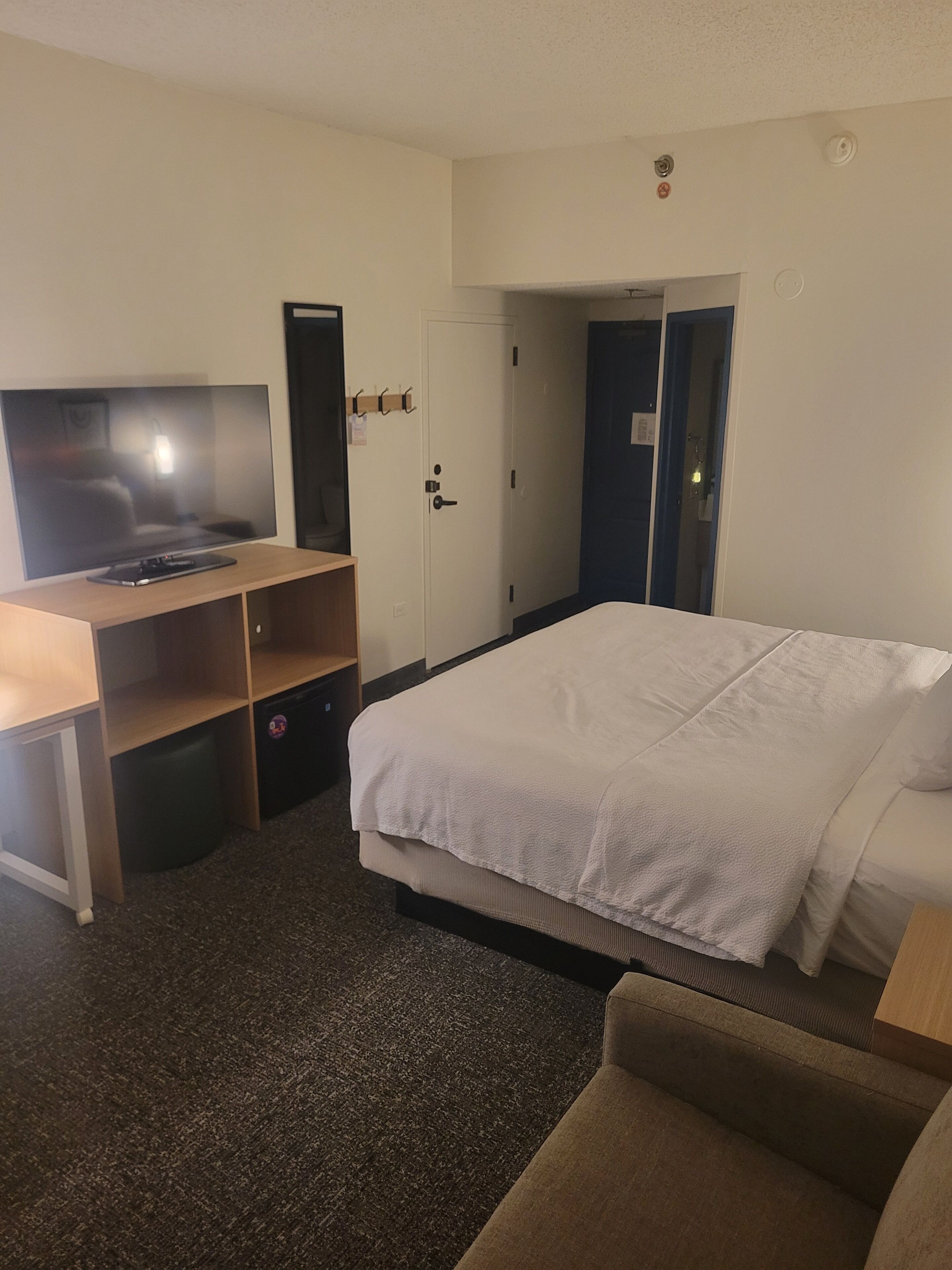 room, 1 king bed with sofa bed | hypo-allergenic bedding, down duvets, iron/ironing board, free wifi