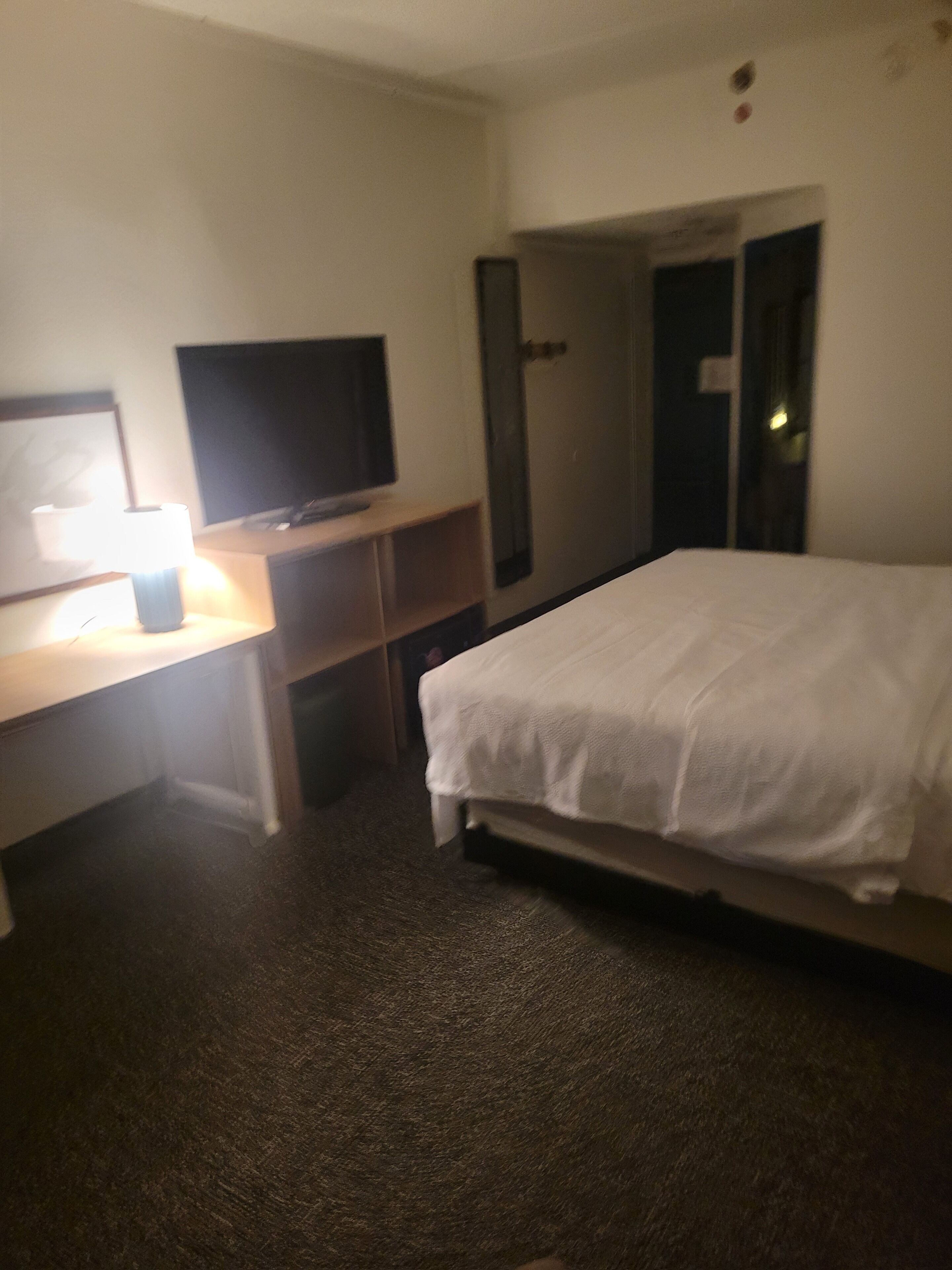 room, 1 king bed | hypo-allergenic bedding, down duvets, iron/ironing board, free wifi