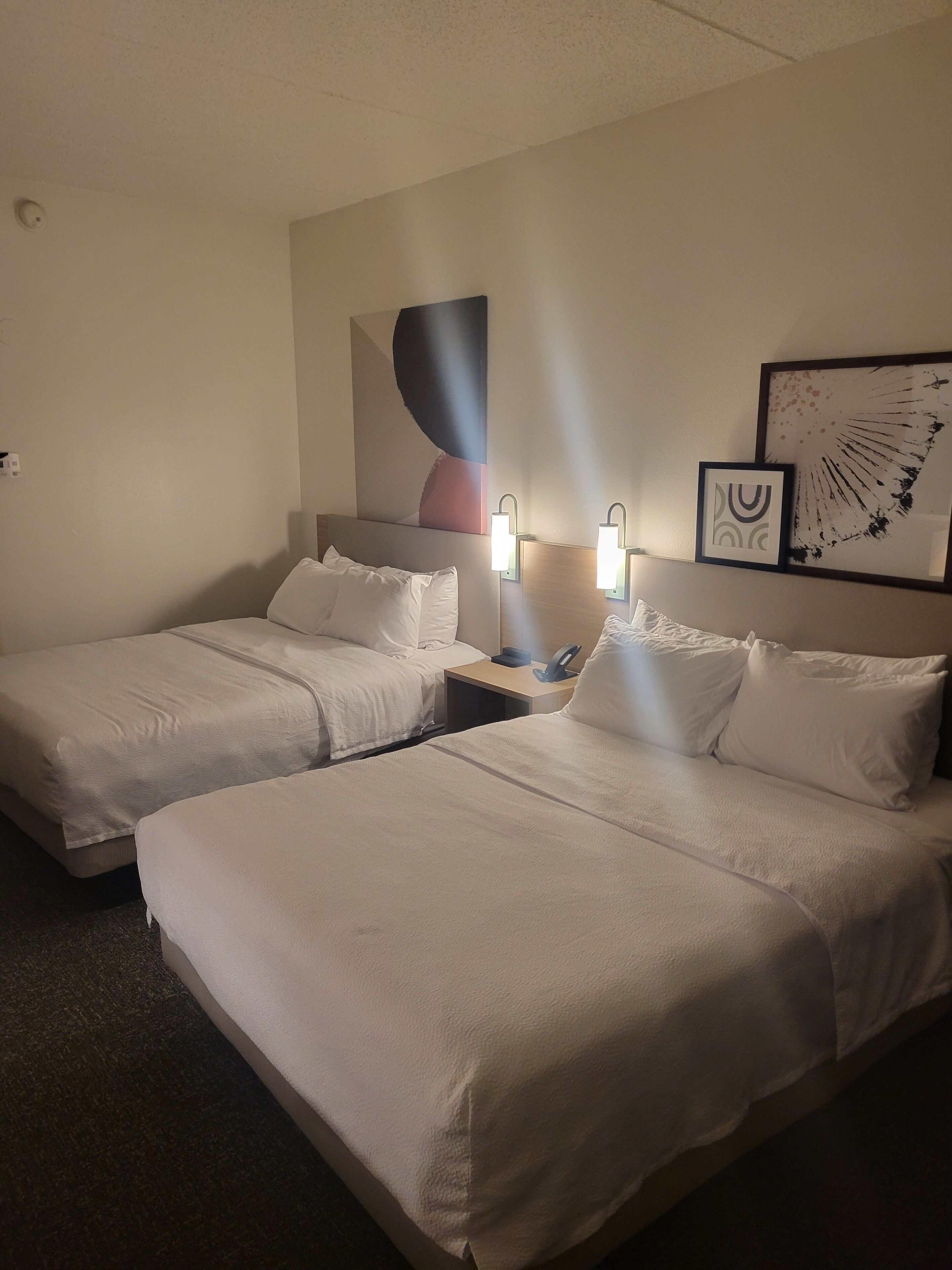 room, 2 queen beds | hypo-allergenic bedding, down duvets, iron/ironing board, free wifi