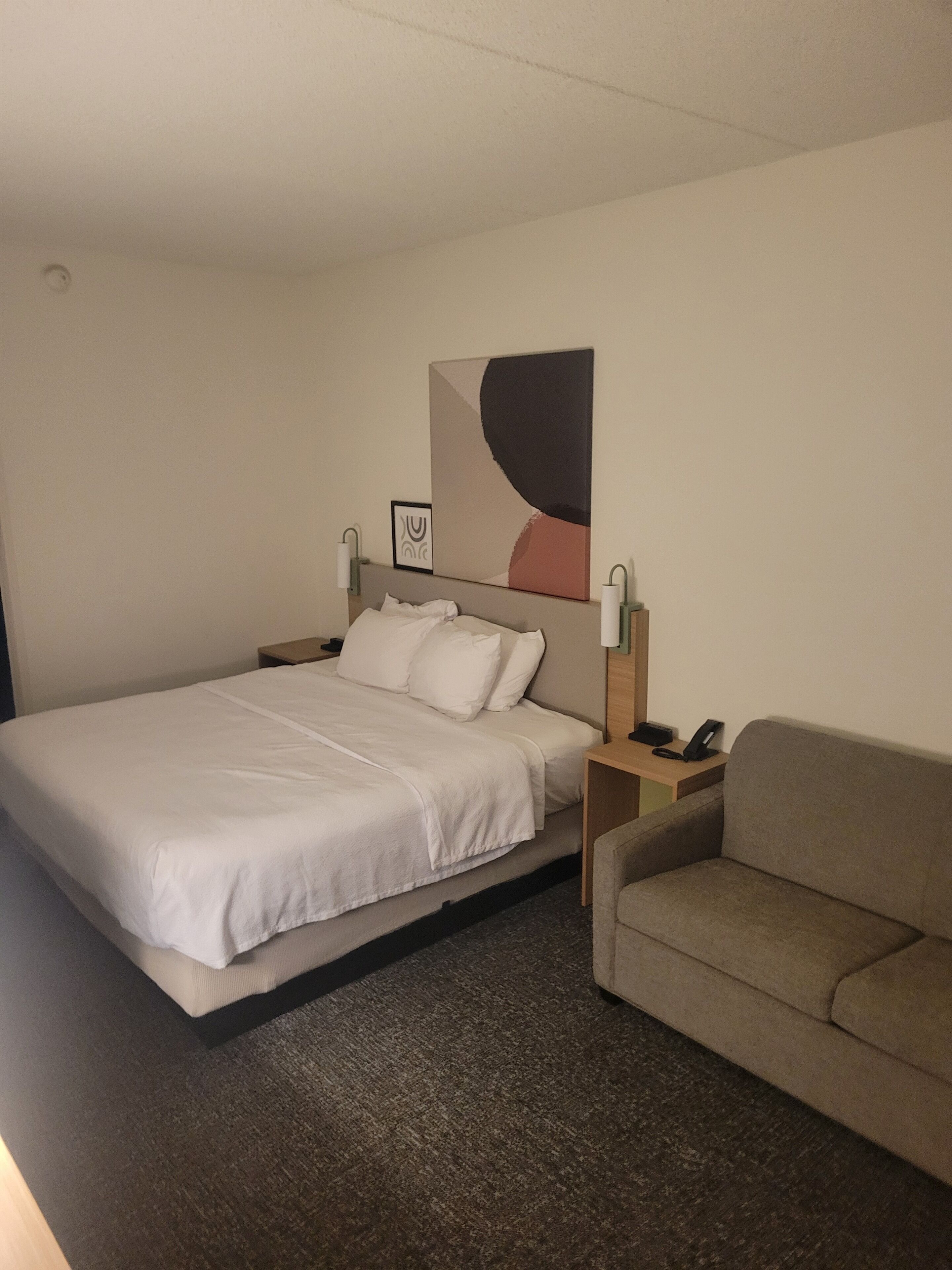 room, 1 king bed with sofa bed | hypo-allergenic bedding, down duvets, iron/ironing board, free wifi