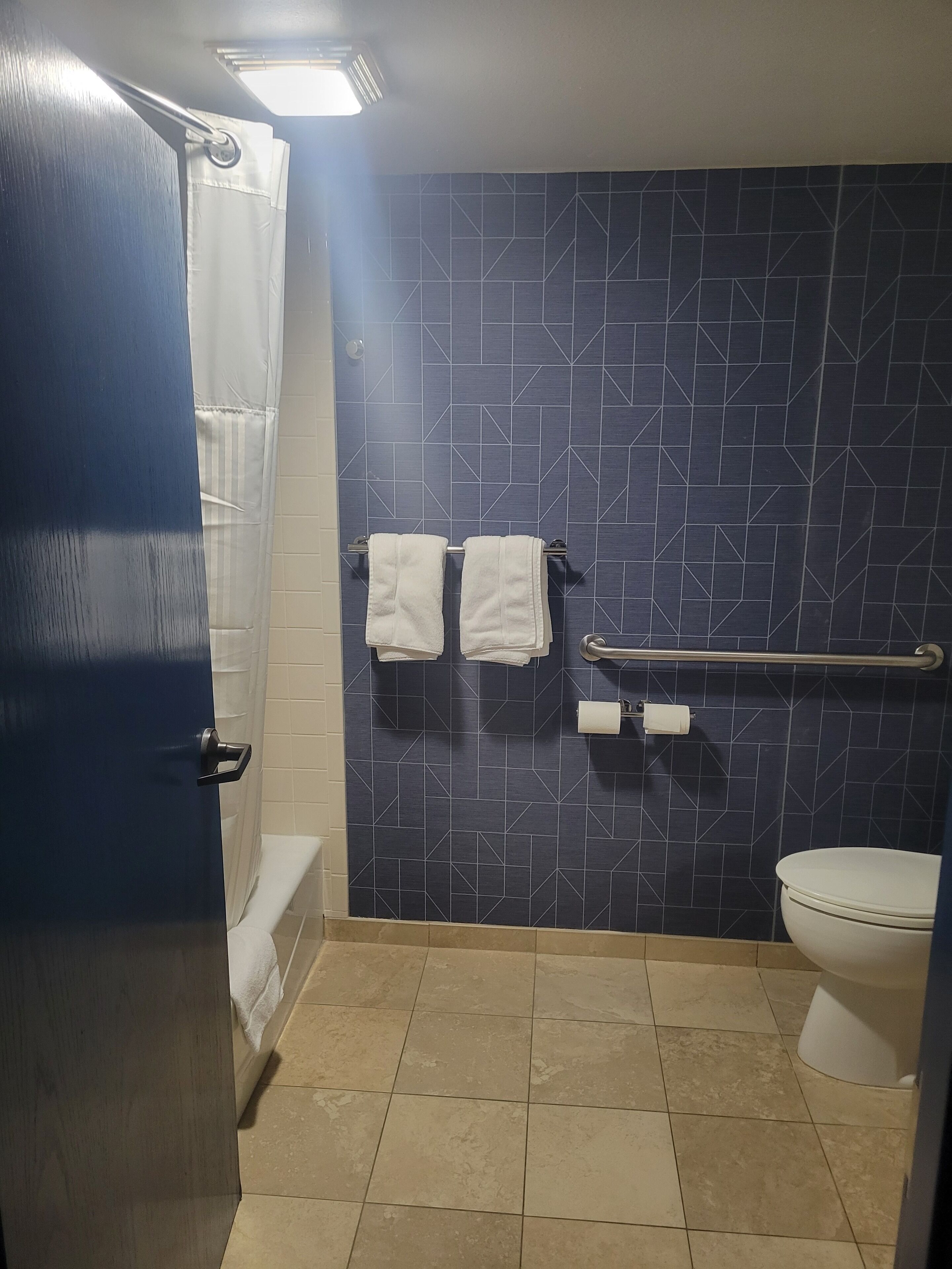 room, 1 king bed, accessible, bathtub | bathroom | combined shower/bathtub, free toiletries, hair dryer, towels