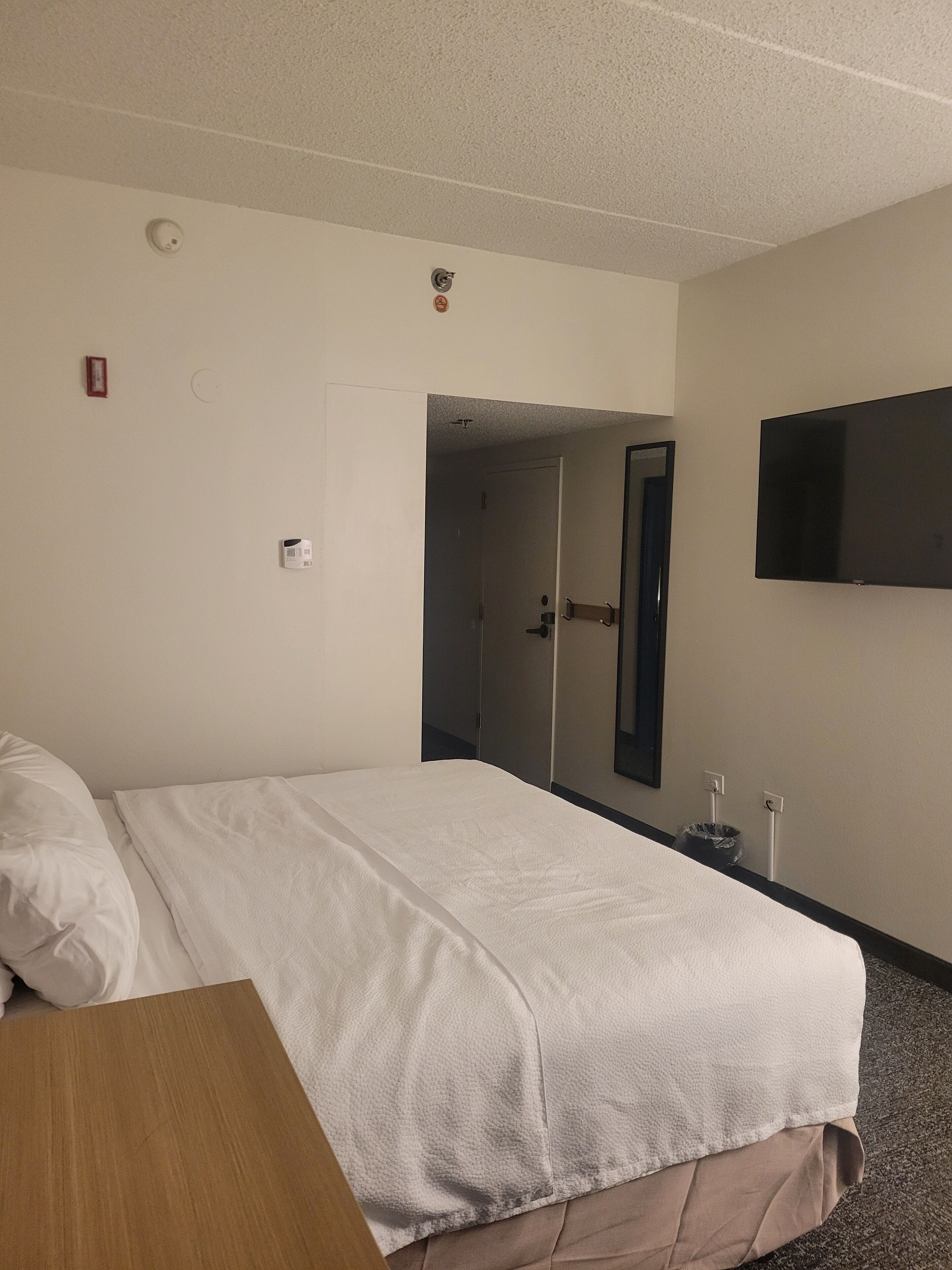 room, 1 king bed, accessible, bathtub | hypo-allergenic bedding, down duvets, iron/ironing board, free wifi