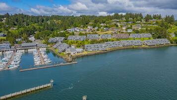 Pemandangan dari udara